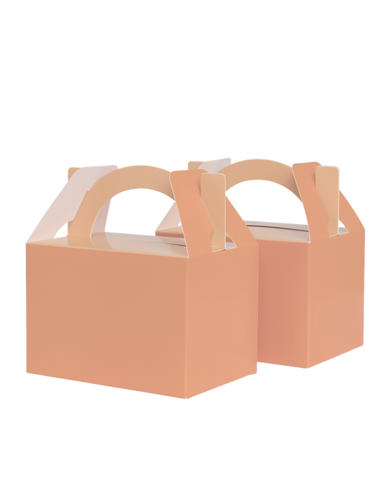 Little Lunch Favour Box Classic Pastel Peach - Pack of 10
