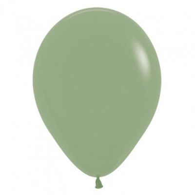 30cm Eucalyptus Balloon