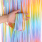 Pastel Rainbow Fringe Curtain Backdrop