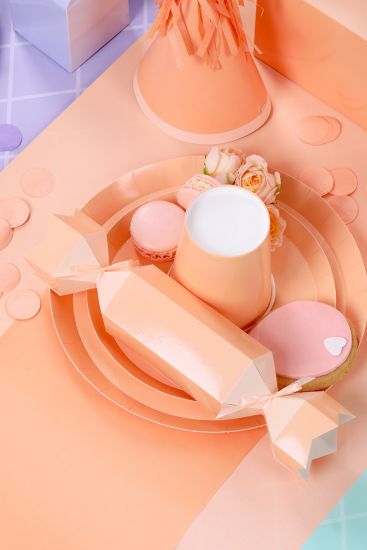Classic Pastel Peach Plates - Pack of 10